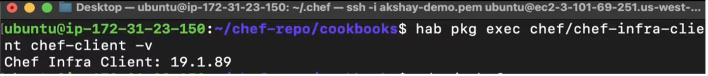 Figure 1 Chef Infra Client Version Verification Window featuring different code with different colors