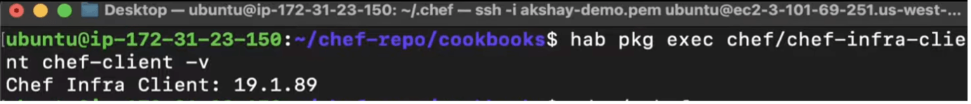 Figure 1 Chef Infra Client Version Verification Window featuring different code with different colors