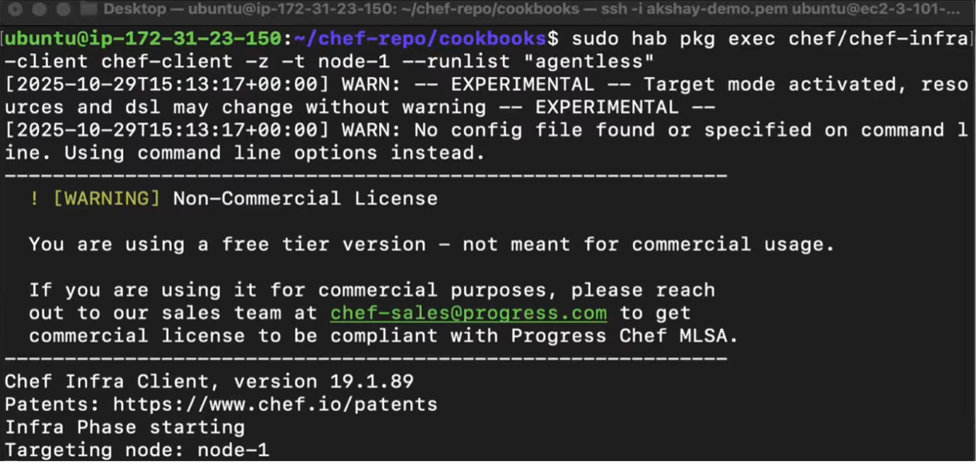 Figure 5 Executing Chef Infra Client in Target Mode for Agentless Run
