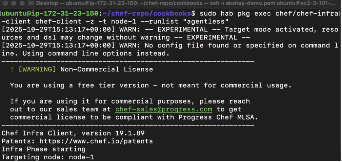 Figure 5 Executing Chef Infra Client in Target Mode for Agentless Run