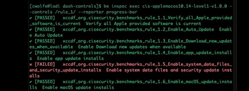 InSpec exec – controls