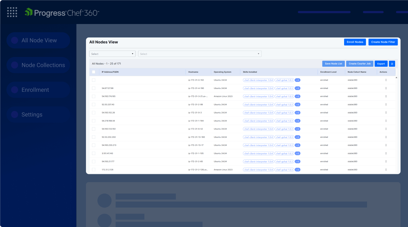 all-node-view